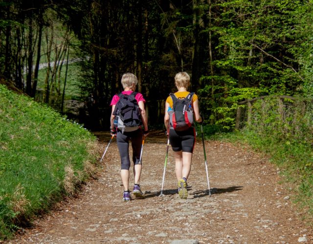 Nordic walking w górach