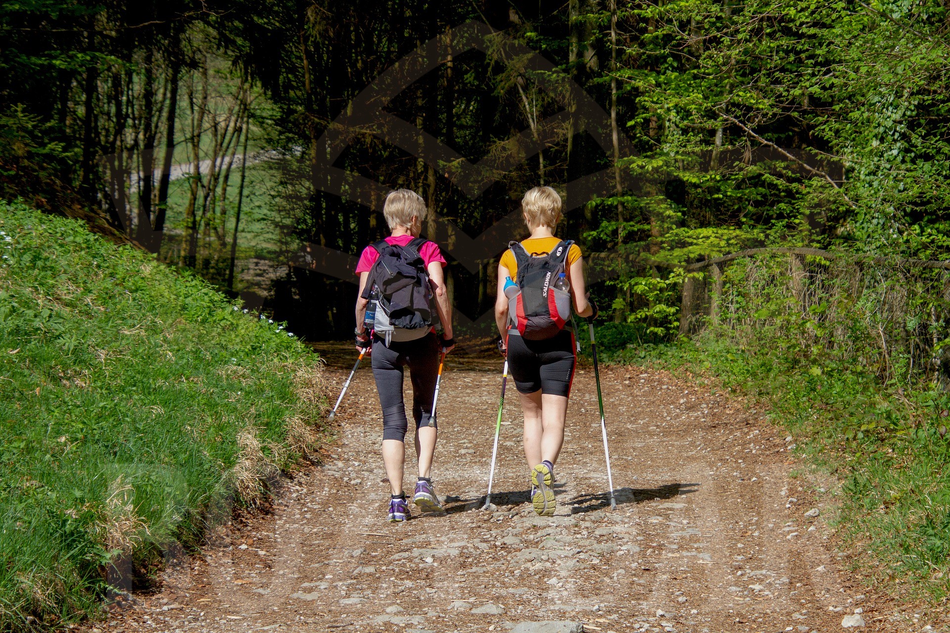 Nordic walking w górach