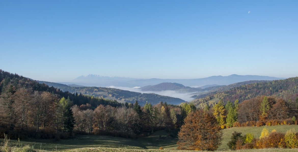 Dokąd pojechać w pandemię