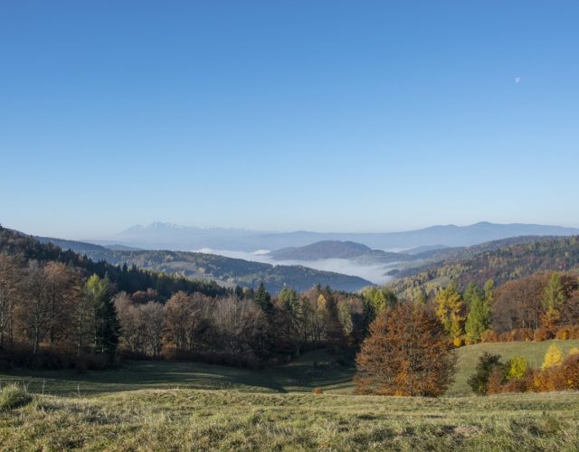 Dokąd pojechać w pandemię